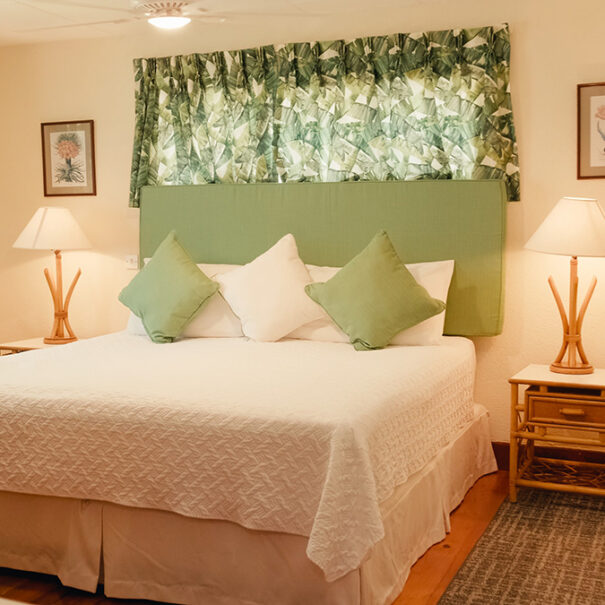 One-bedroom and 1-bathroom Barbados Apartment - Ragged Point - Apartment R.
