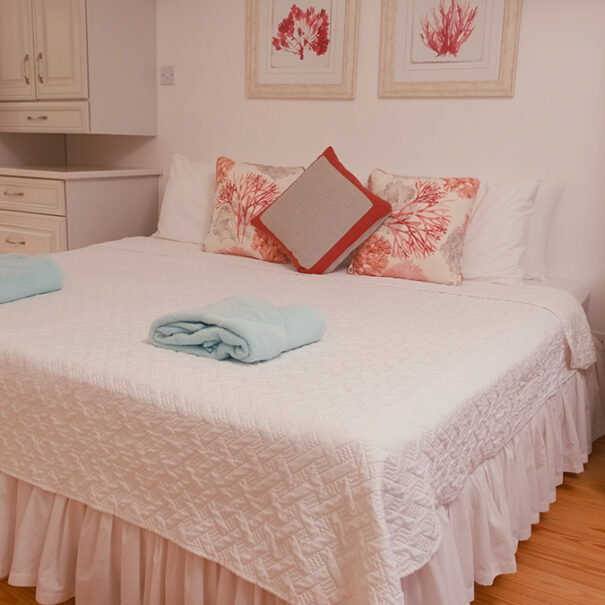 Master Bedroom with King Sized Bed
